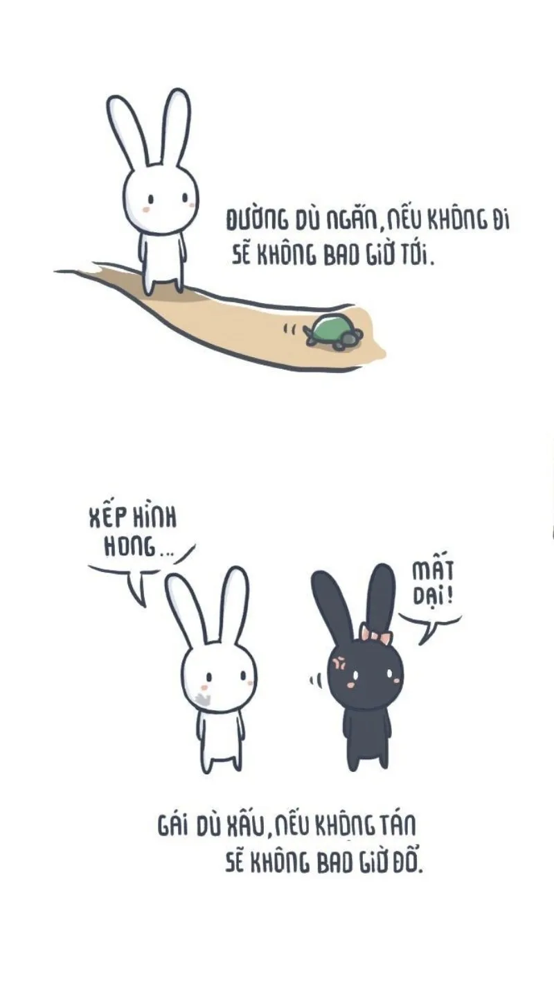 meme thỏ 7 màu có chữ