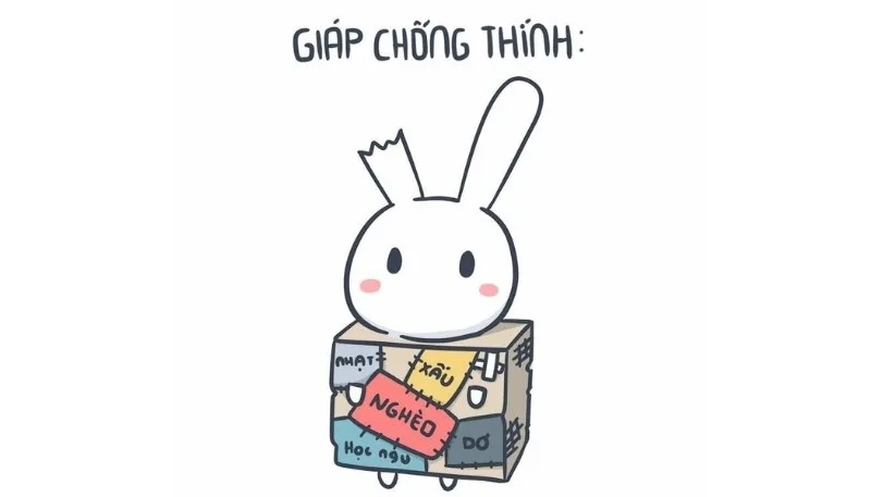 meme thỏ 7 màu có chữ