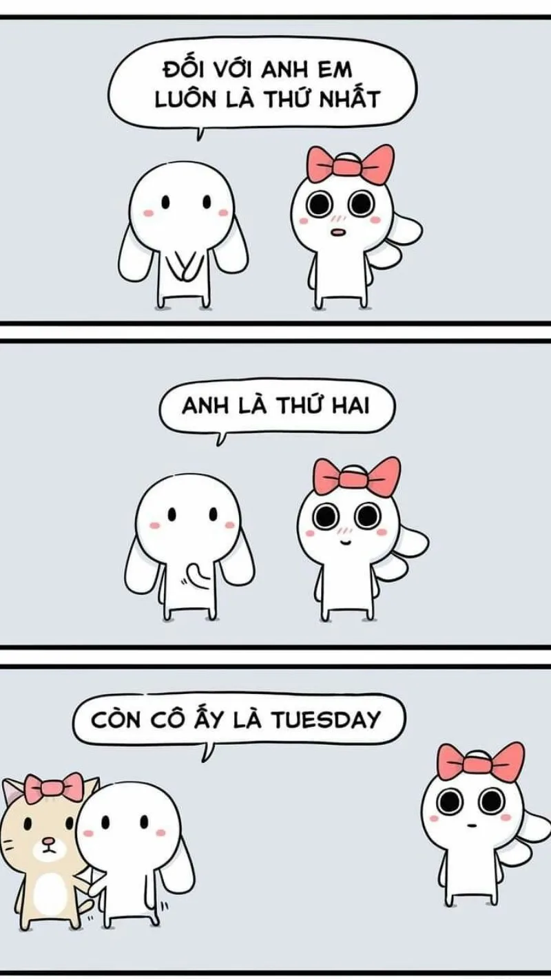 meme thỏ 7 màu có chữ