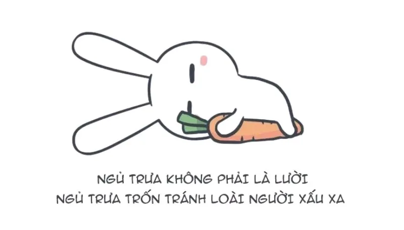 meme thỏ 7 màu có chữ