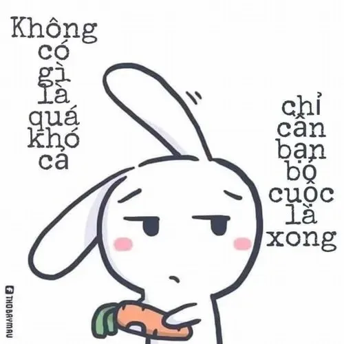 ảnh thỏ 7 màu làm nhang hồ