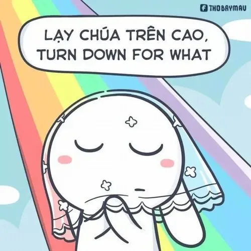 meme thỏ 7 màu có chữ