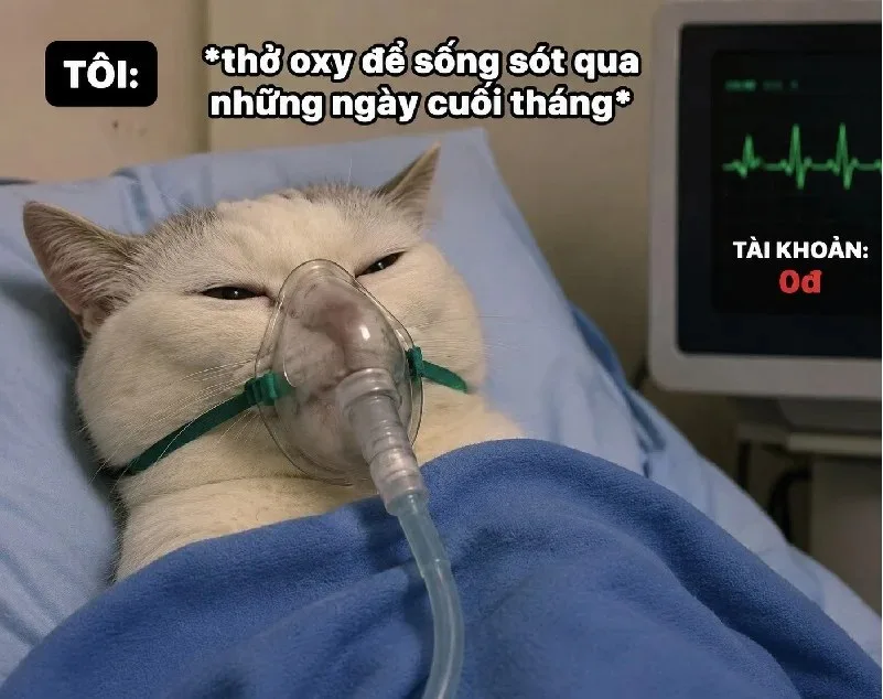 thở oxy meme