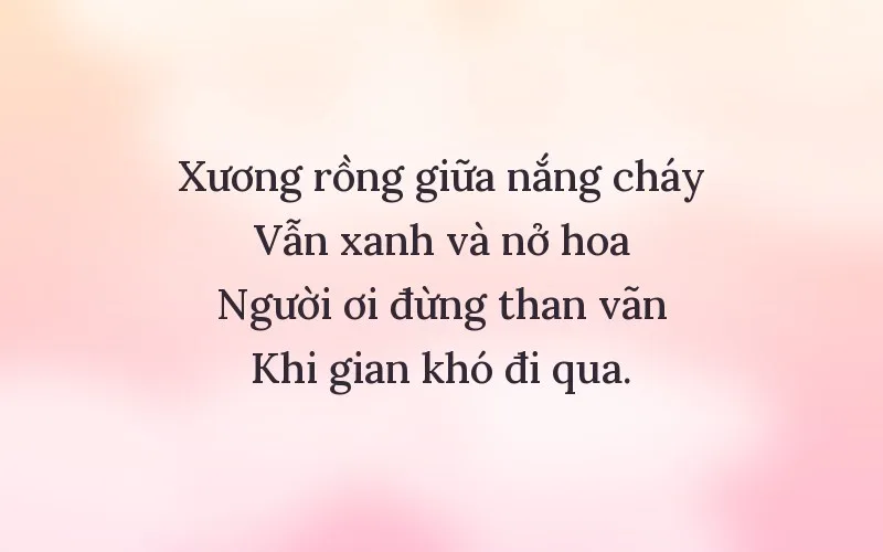 Thơ về nghị lực sống