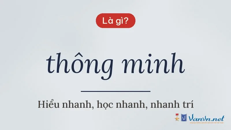 thông minh là gì