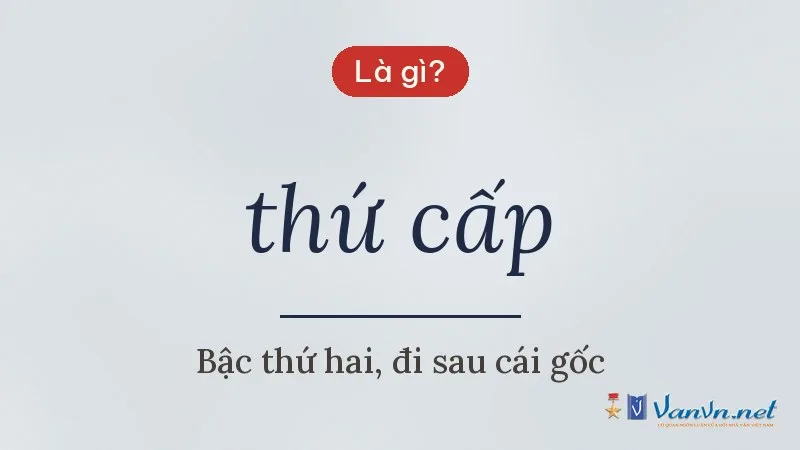 thứ cấp là gì