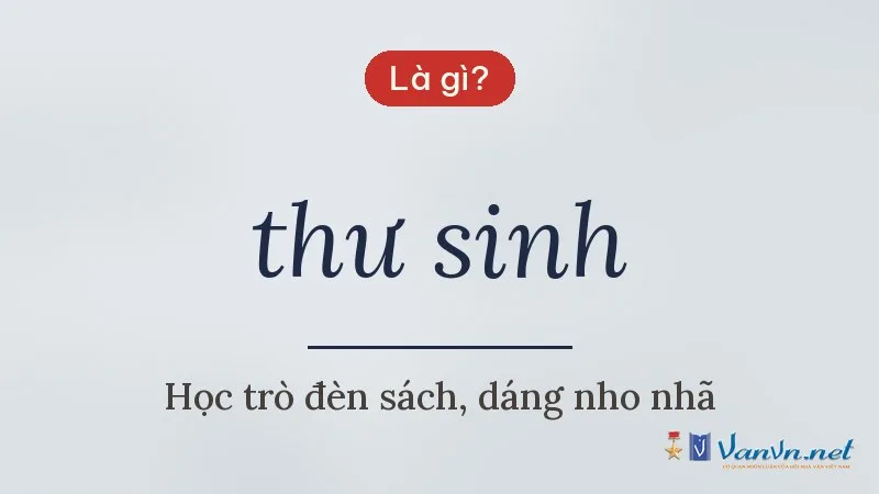 thư sinh là gì
