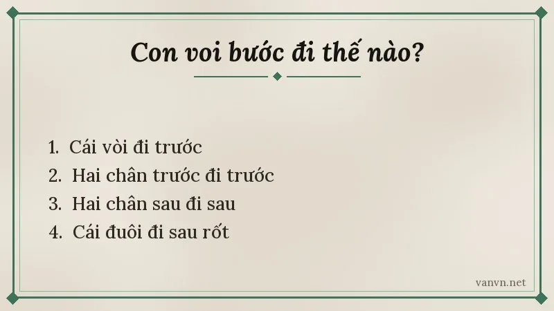 thứ tự các bộ phận trong đồng dao con vỏi con voi