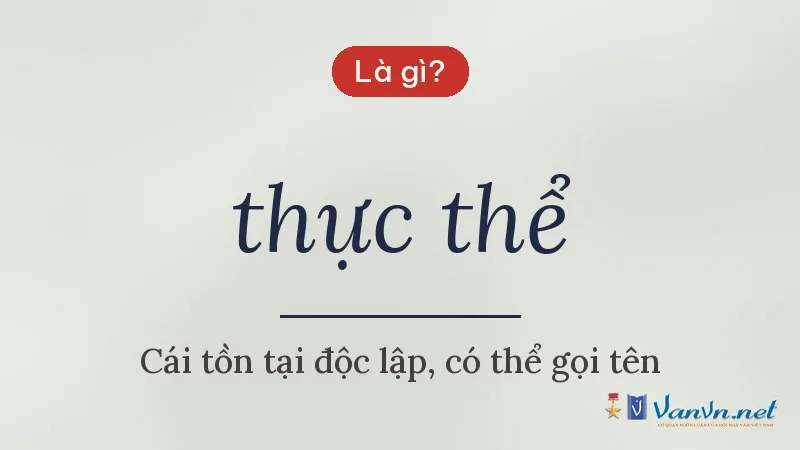 thực thể là gì