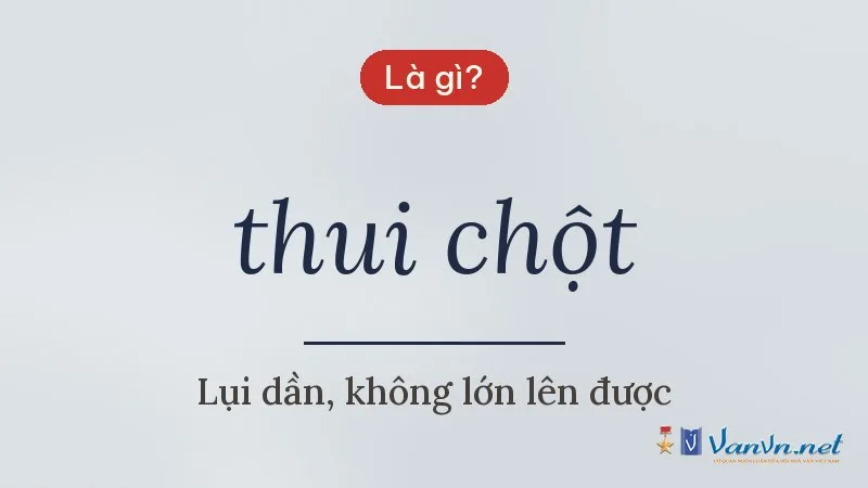 thui chột là gì