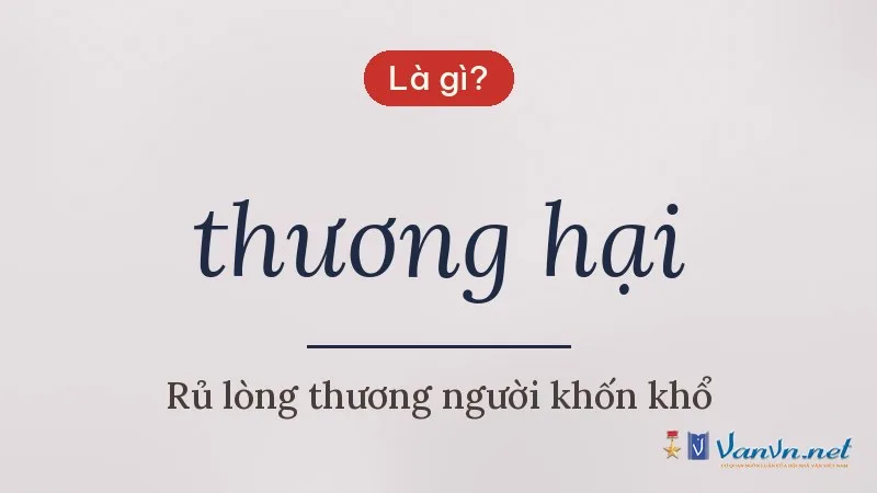 thương hại là gì