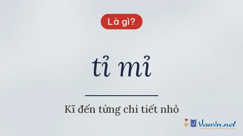 tỉ mỉ là gì