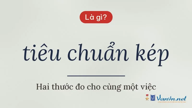 tiêu chuẩn kép là gì