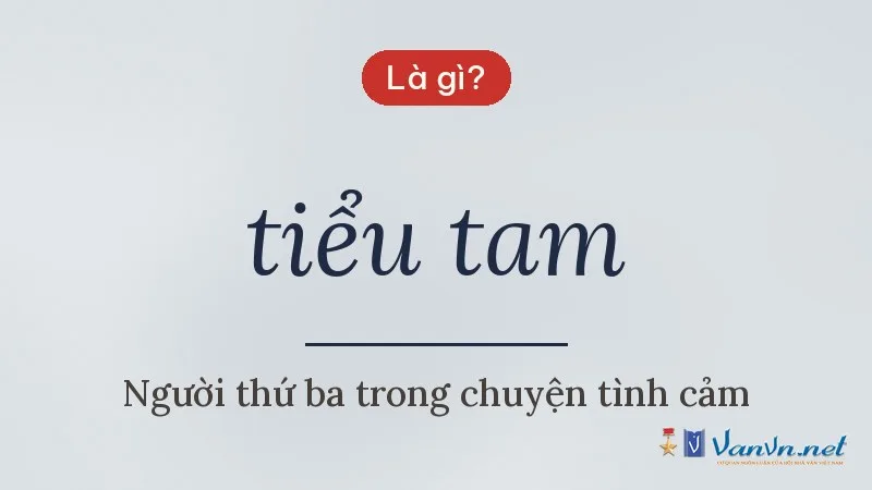 tiểu tam là gì