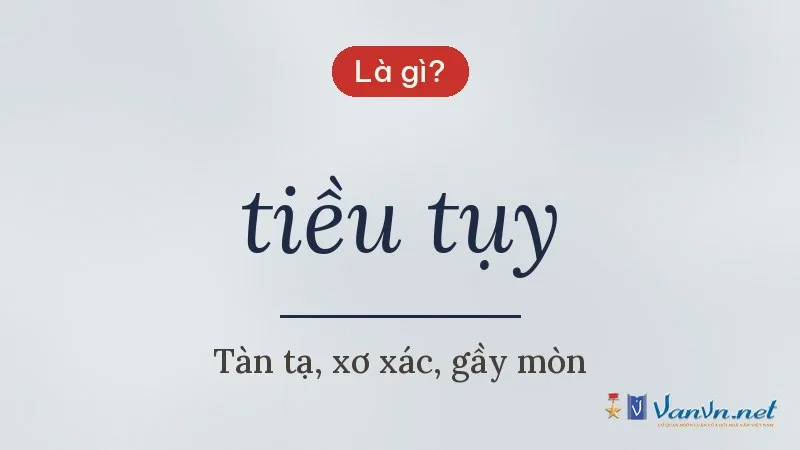 tiều tụy là gì