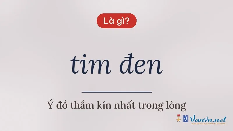 tim đen là gì