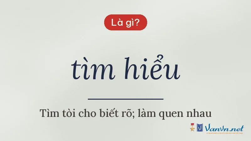 tìm hiểu là gì
