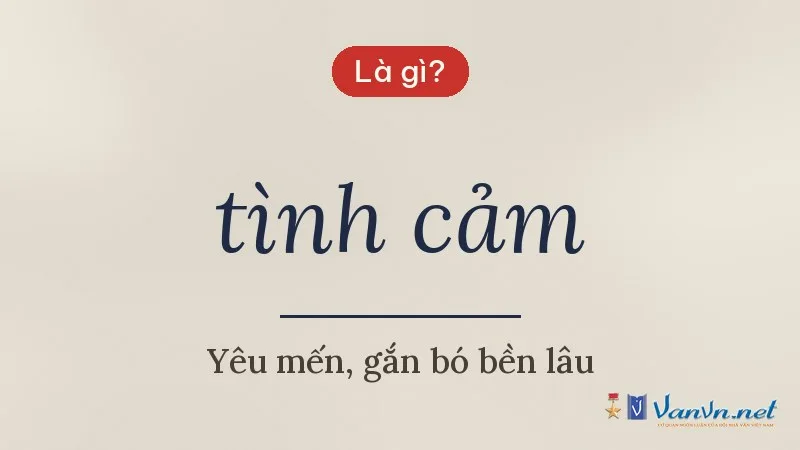 tình cảm là gì