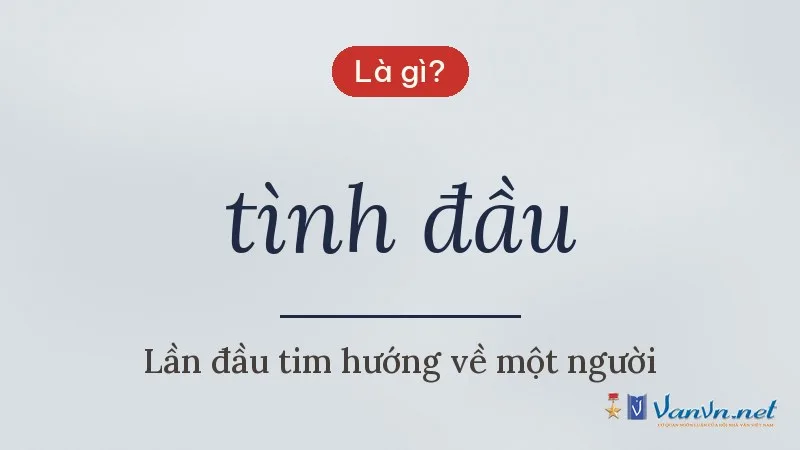 tình đầu là gì