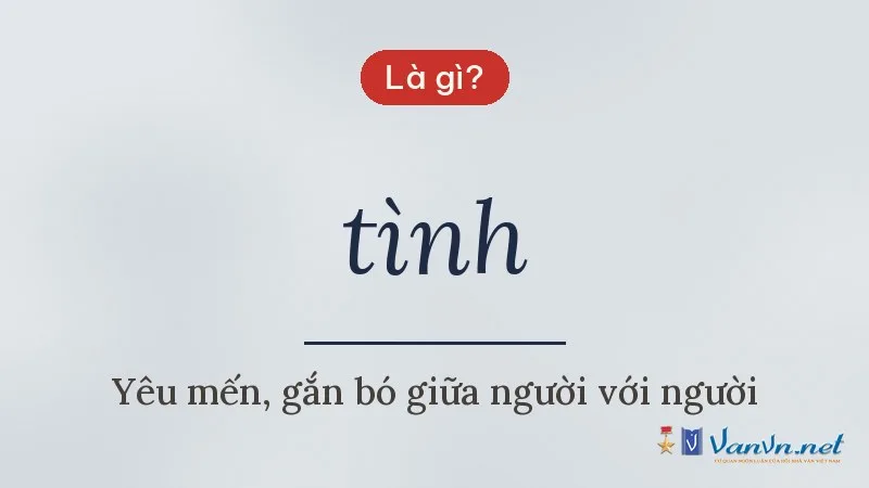 tình là gì