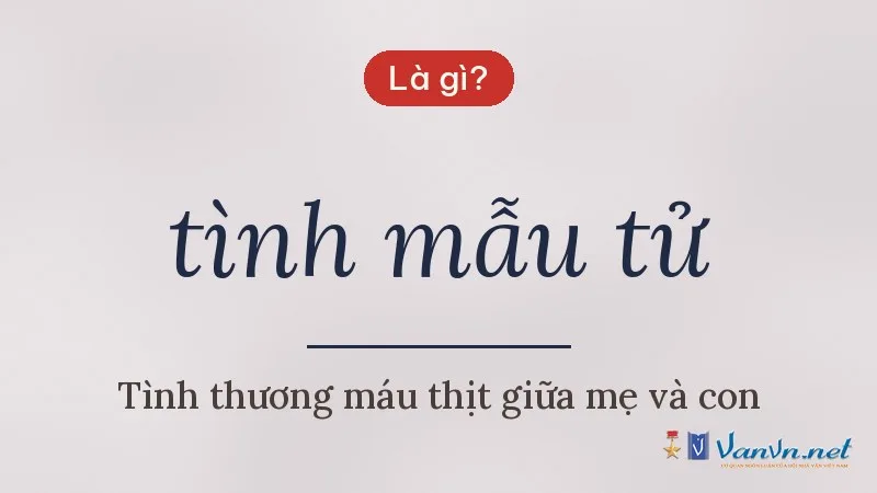 tình mẫu tử là gì