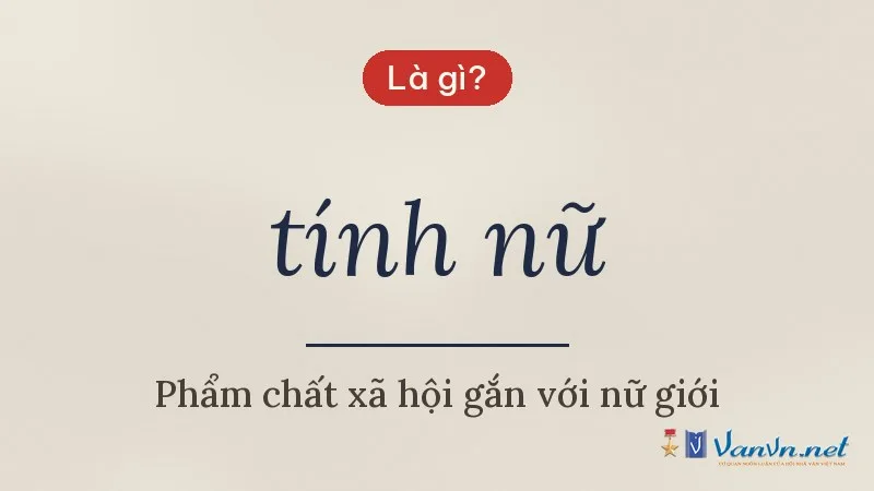 tính nữ là gì