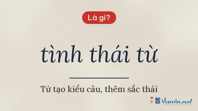 tình thái từ là gì