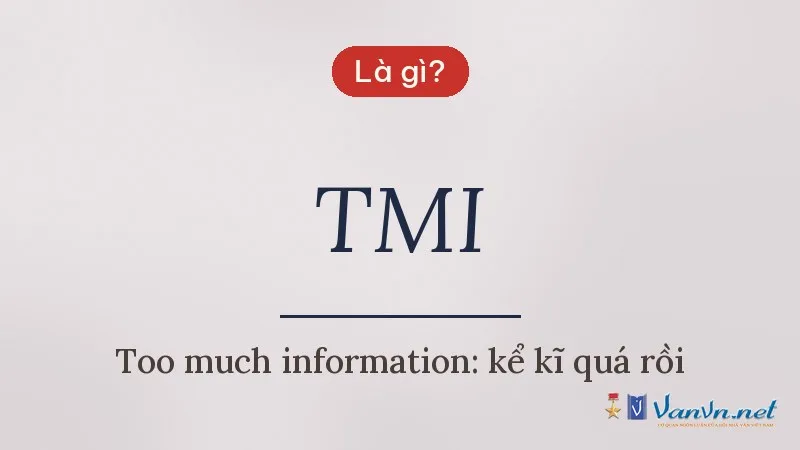 TMI là gì