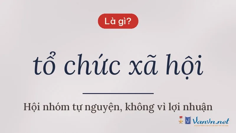 tổ chức xã hội là gì