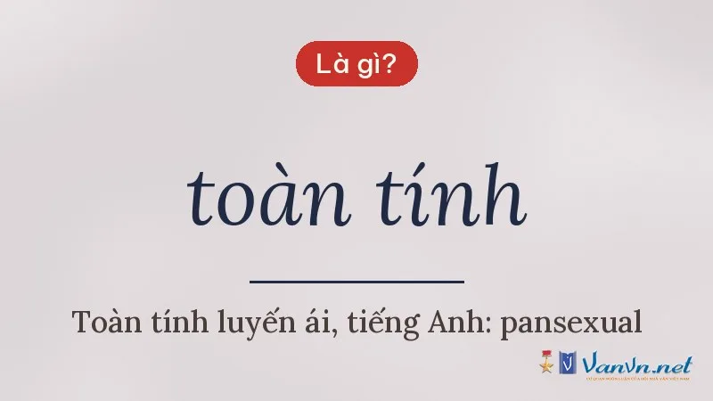 toàn tính là gì