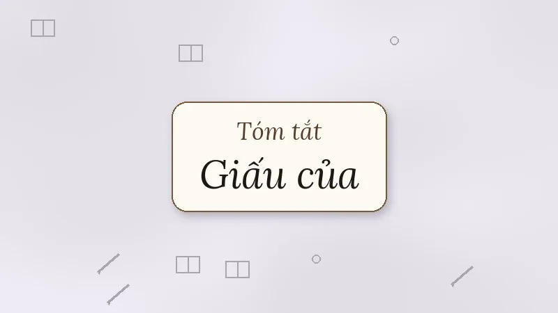 tóm tắt giấu của