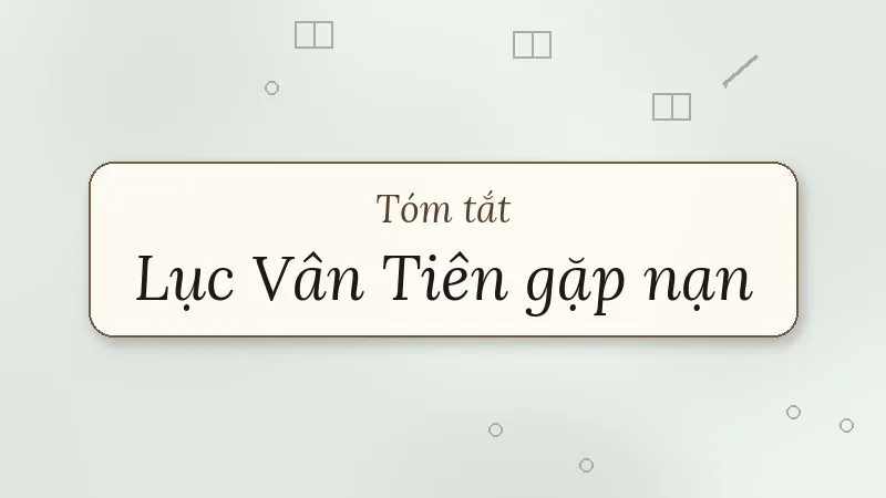 tóm tắt lục vân tiên gặp nạn