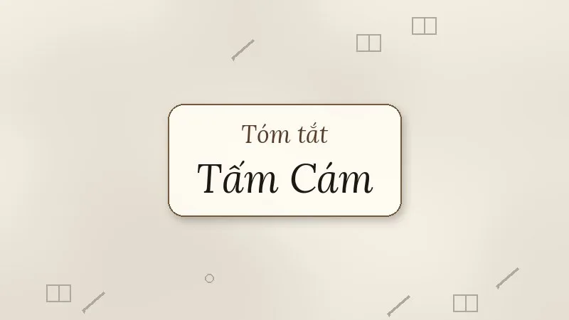 tóm tắt tấm cám