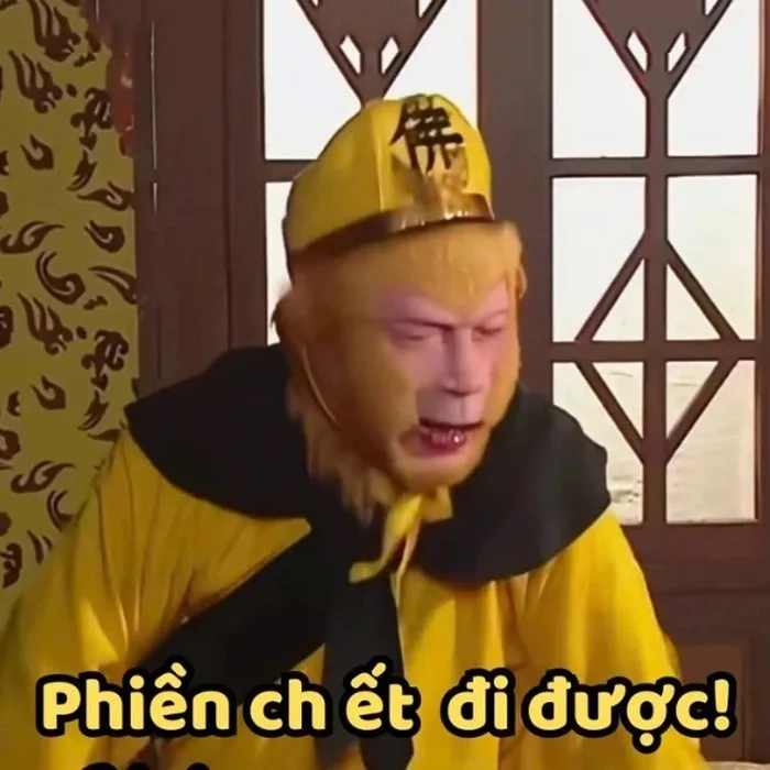 ảnh tôn ngộ không meme
