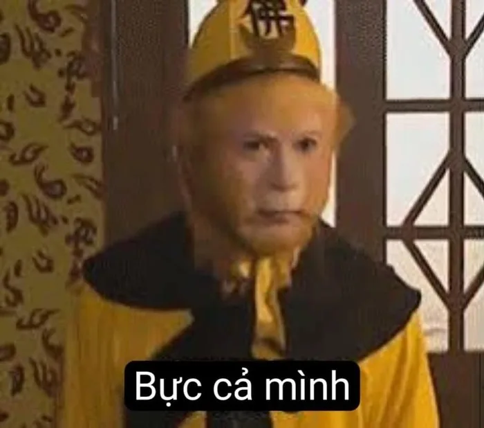ảnh tôn ngộ không meme