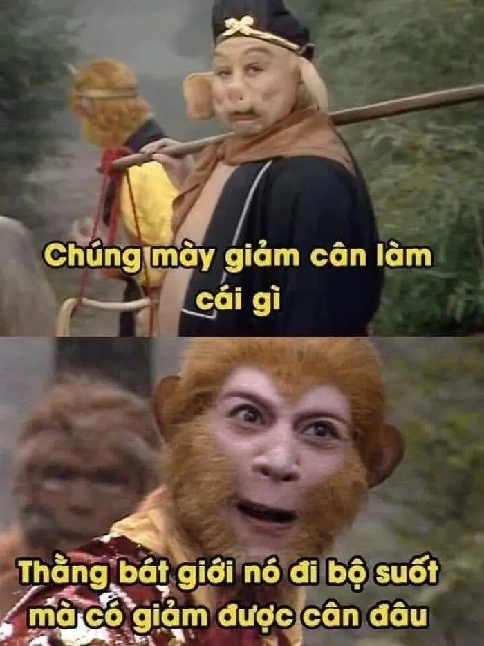 tôn ngộ không meme
