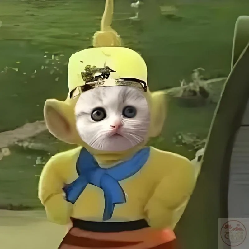 tôn ngộ không meme