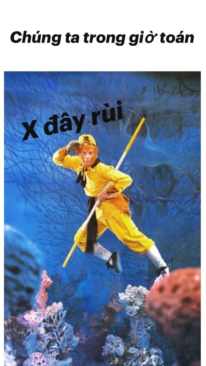 tôn ngộ không meme