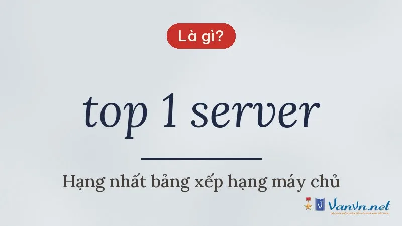 top 1 server là gì
