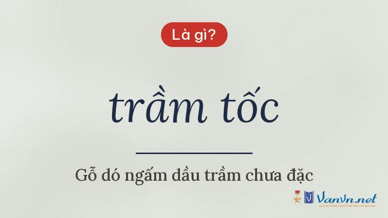 trầm tốc là gì