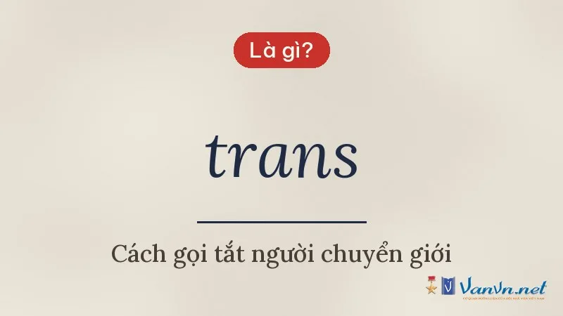 trans là gì