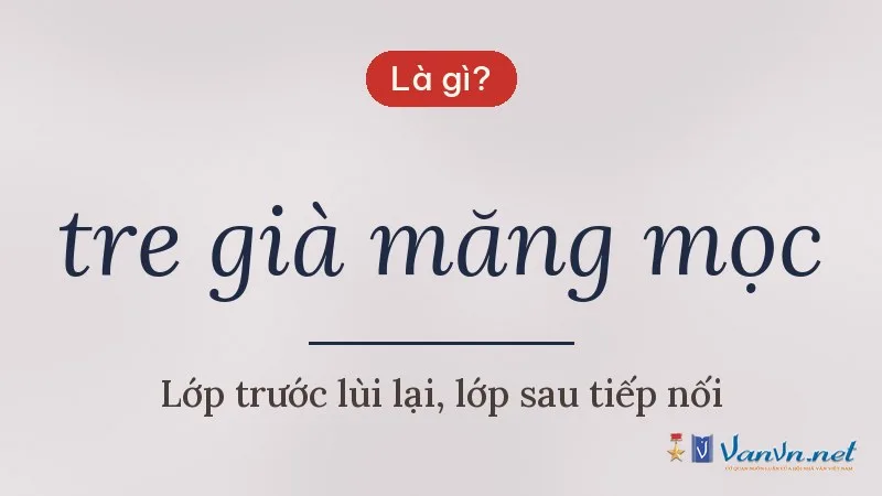 tre già măng mọc là gì
