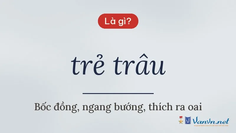trẻ trâu là gì