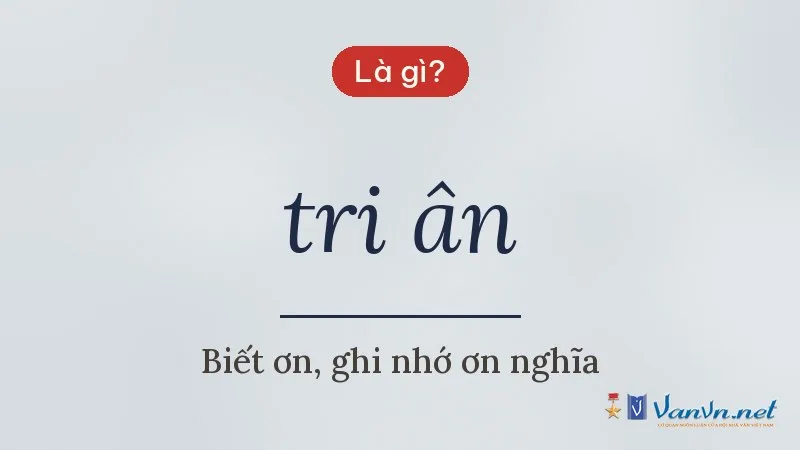 tri ân là gì