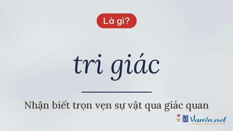 tri giác là gì
