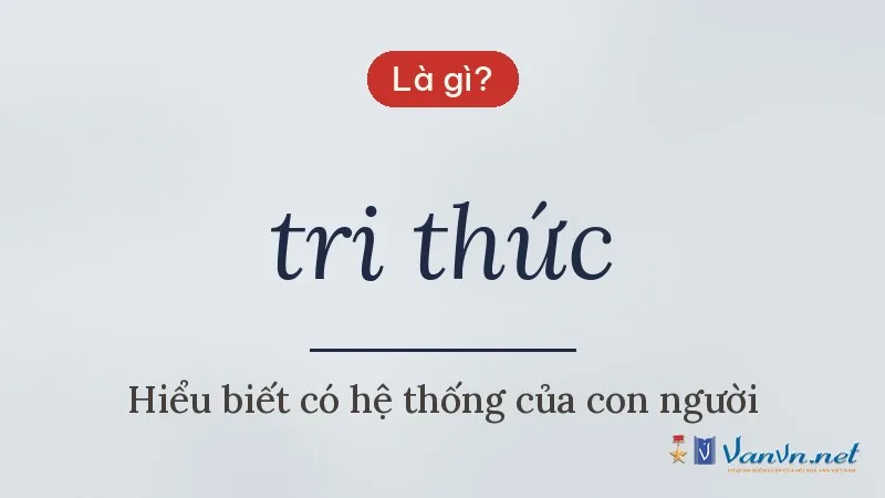 tri thức là gì