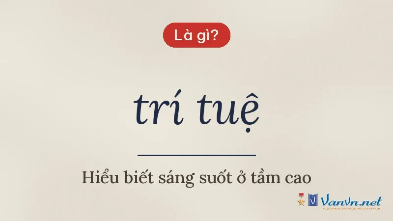 trí tuệ là gì