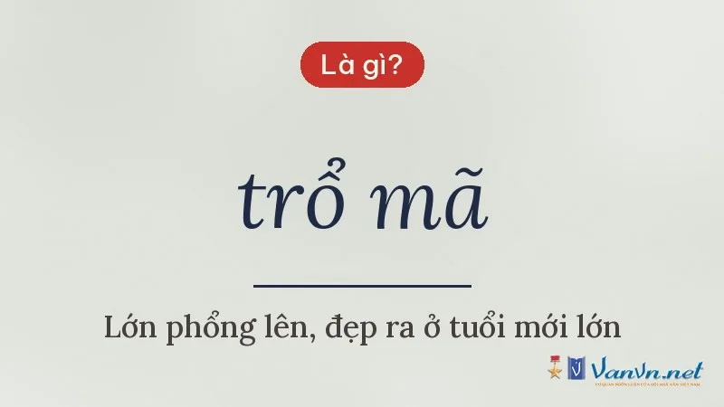 trổ mã là gì