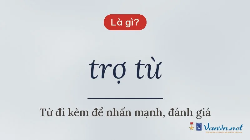 trợ từ là gì