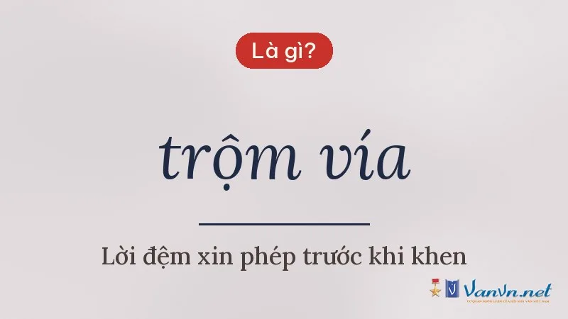 trộm vía là gì